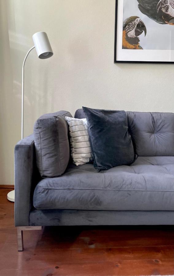 Hip & Minimalist - Stadt Apartments Am Malerweg Pirna Eksteriør billede