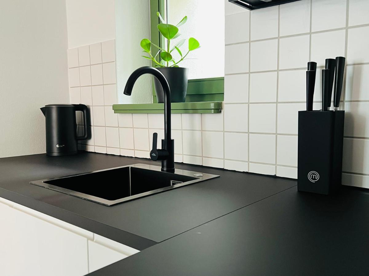 Hip & Minimalist - Stadt Apartments Am Malerweg Pirna Eksteriør billede